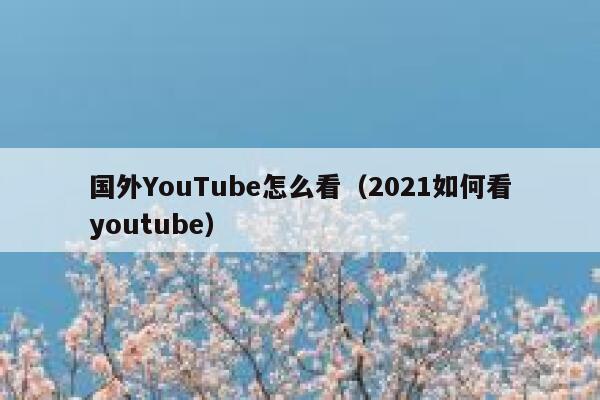 国外YouTube怎么看（2021如何看youtube） 第1张