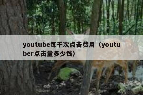 youtube每千次点击费用（youtuber点击量多少钱） 第1张