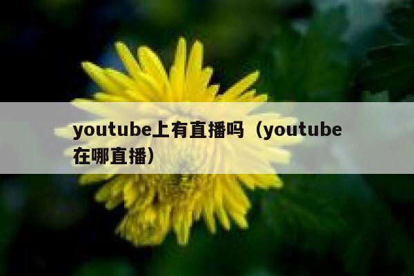 youtube上有直播吗（youtube在哪直播） 第1张