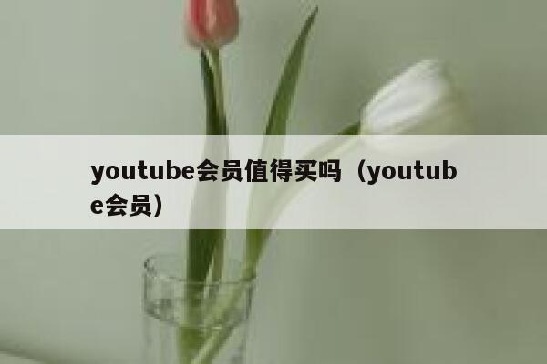 youtube会员值得买吗（youtube会员） 第1张