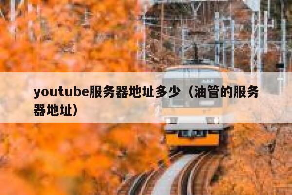 youtube服务器地址多少（油管的服务器地址） 第1张