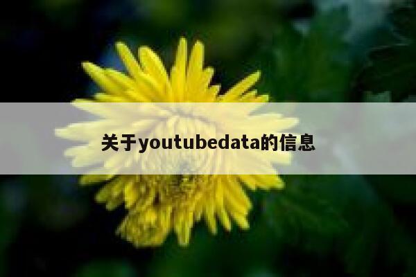 关于youtubedata的信息 第1张