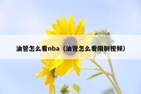油管怎么看nba（油管怎么看限制视频） 第1张