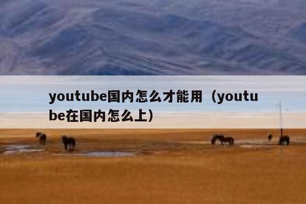 youtube国内怎么才能用（youtube在国内怎么上） 第1张