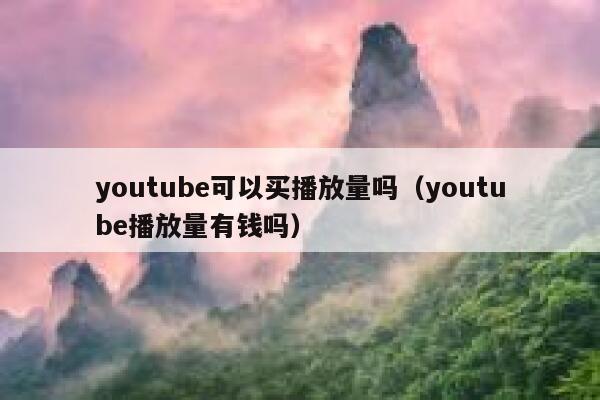 youtube可以买播放量吗（youtube播放量有钱吗） 第1张