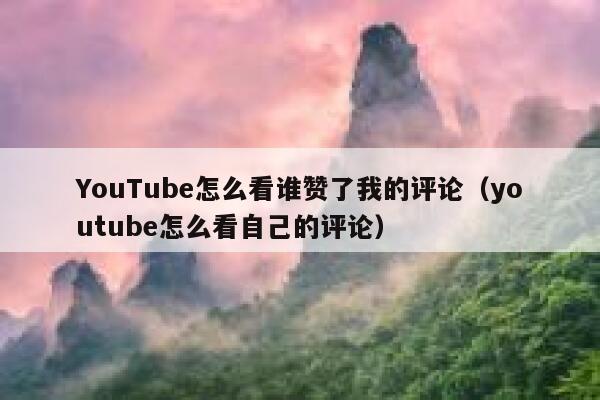 YouTube怎么看谁赞了我的评论（youtube怎么看自己的评论） 第1张