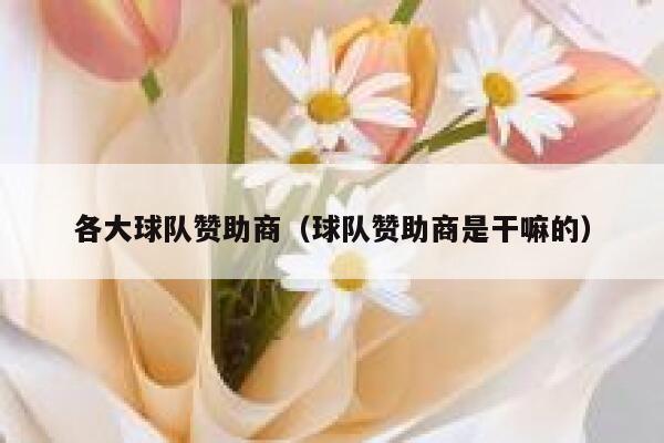 各大球队赞助商（球队赞助商是干嘛的） 第1张