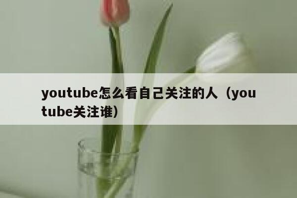 youtube怎么看自己关注的人（youtube关注谁） 第1张