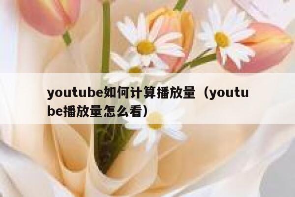 youtube如何计算播放量（youtube播放量怎么看） 第1张