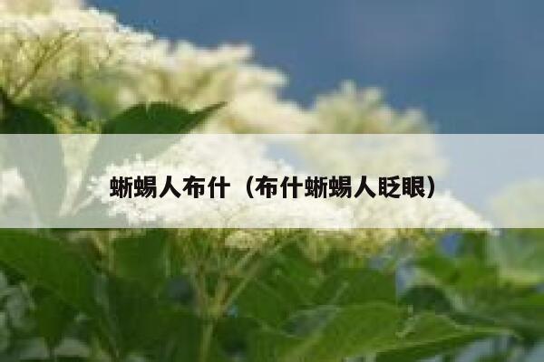 蜥蜴人布什（布什蜥蜴人眨眼） 第1张