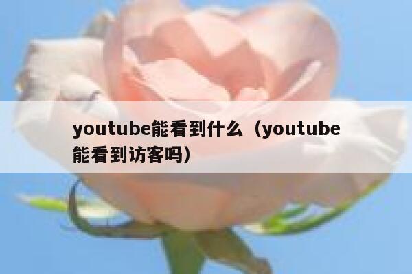 youtube能看到什么（youtube能看到访客吗） 第1张
