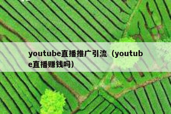 youtube直播推广引流（youtube直播赚钱吗） 第1张