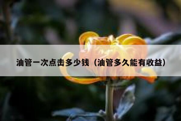 油管一次点击多少钱（油管多久能有收益） 第1张