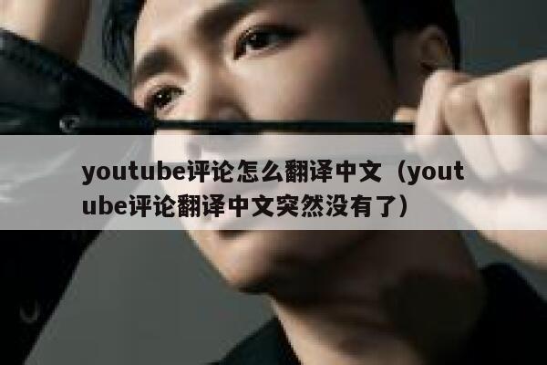 youtube评论怎么翻译中文（youtube评论翻译中文突然没有了） 第1张