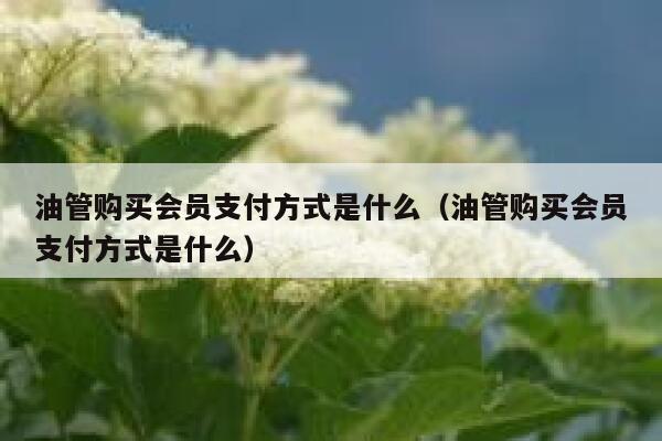 油管购买会员支付方式是什么（油管购买会员支付方式是什么） 第1张