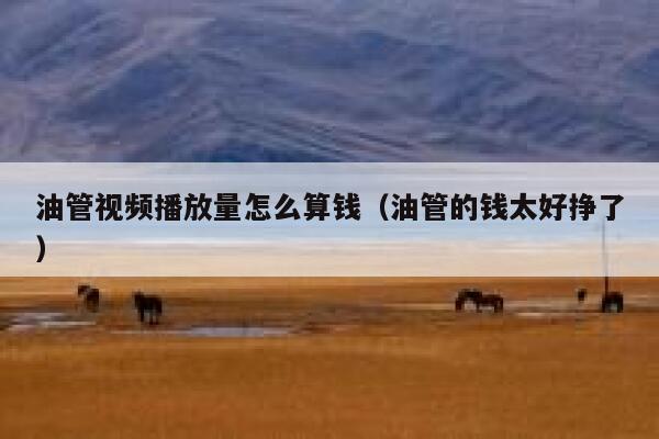 油管视频播放量怎么算钱（油管的钱太好挣了） 第1张