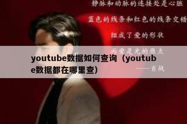 youtube数据如何查询（youtube数据都在哪里查） 第1张
