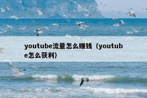 youtube流量怎么赚钱（youtube怎么获利） 第1张