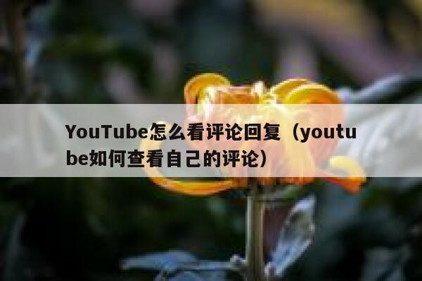 YouTube怎么看评论回复（youtube如何查看自己的评论） 第1张