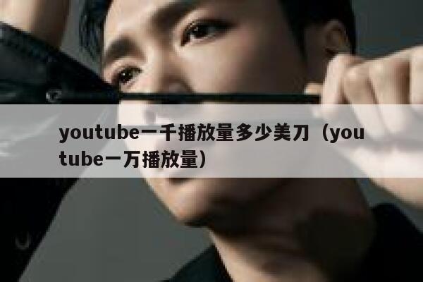 youtube一千播放量多少美刀（youtube一万播放量） 第1张