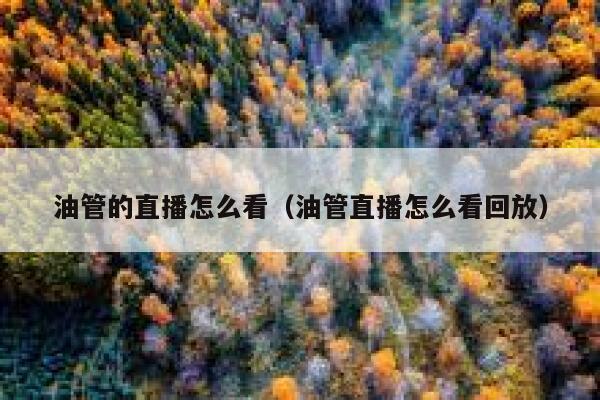 油管的直播怎么看（油管直播怎么看回放） 第1张