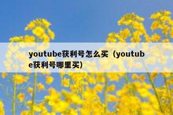 youtube获利号怎么买（youtube获利号哪里买） 第1张