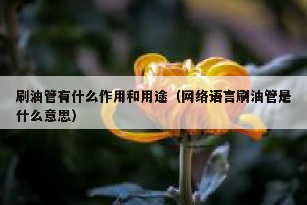 刷油管有什么作用和用途（网络语言刷油管是什么意思） 第1张