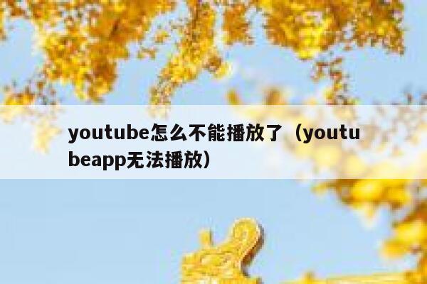 youtube怎么不能播放了（youtubeapp无法播放） 第1张