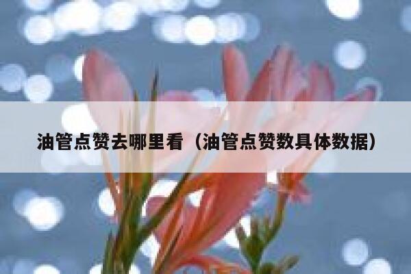 油管点赞去哪里看（油管点赞数具体数据） 第1张