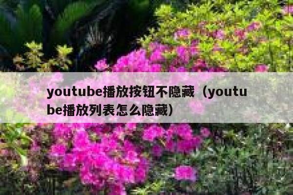 youtube播放按钮不隐藏（youtube播放列表怎么隐藏） 第1张