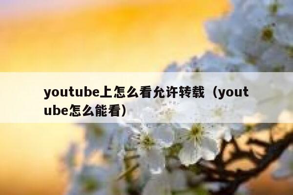 youtube上怎么看允许转载（youtube怎么能看） 第1张