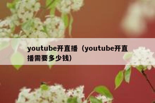 youtube开直播（youtube开直播需要多少钱） 第1张