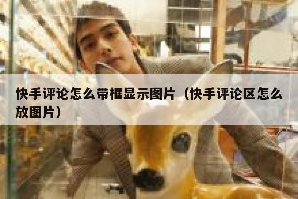 快手评论怎么带框显示图片（快手评论区怎么放图片） 第1张
