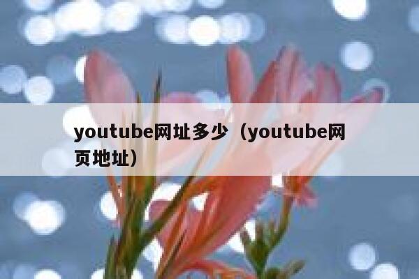 youtube网址多少（youtube网页地址） 第1张