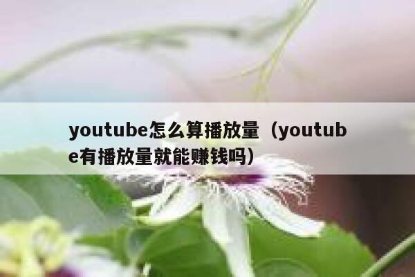youtube怎么算播放量（youtube有播放量就能赚钱吗） 第1张