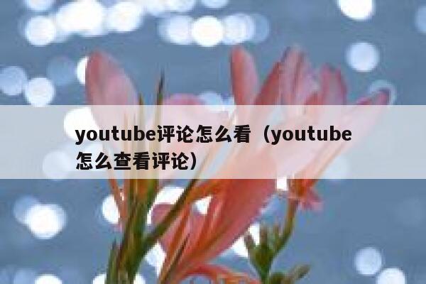 youtube评论怎么看（youtube怎么查看评论） 第1张