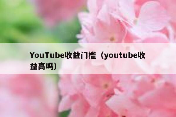 YouTube收益门槛（youtube收益高吗） 第1张