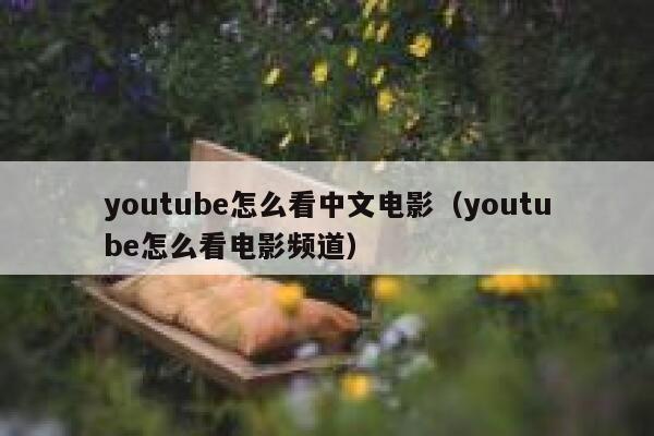 youtube怎么看中文电影（youtube怎么看电影频道） 第1张