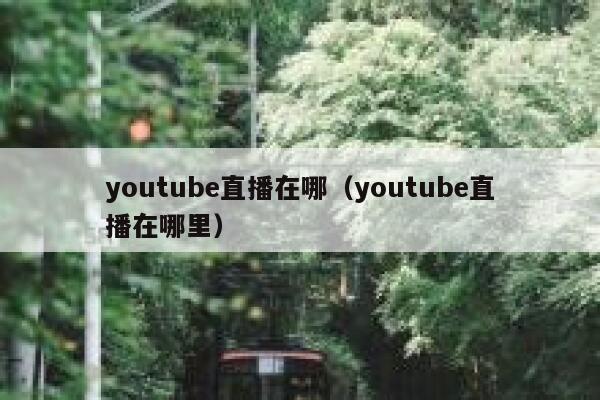 youtube直播在哪（youtube直播在哪里） 第1张