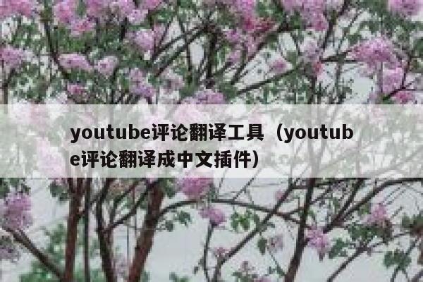 youtube评论翻译工具（youtube评论翻译成中文插件） 第1张