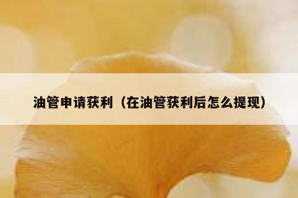油管申请获利（在油管获利后怎么提现） 第1张