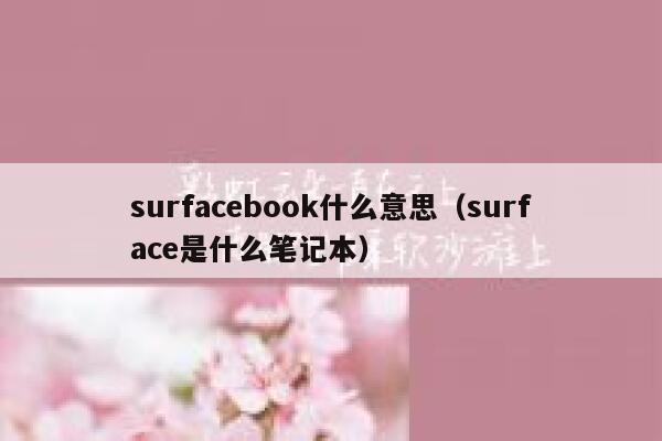 surfacebook什么意思（surface是什么笔记本） 第1张