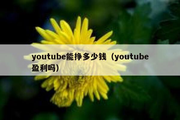 youtube能挣多少钱（youtube盈利吗） 第1张