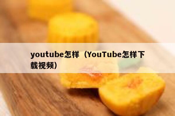 youtube怎样（YouTube怎样下载视频） 第1张