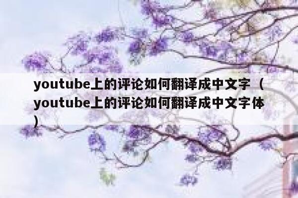 youtube上的评论如何翻译成中文字（youtube上的评论如何翻译成中文字体） 第1张
