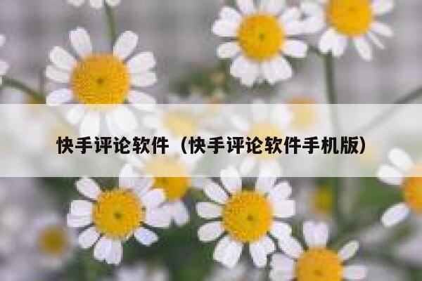 快手评论软件（快手评论软件手机版） 第1张