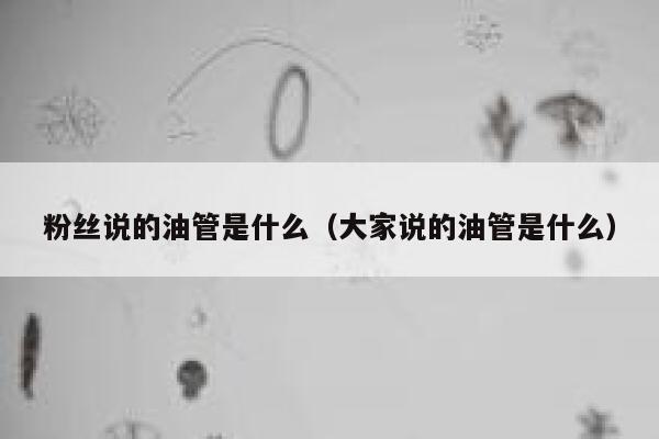 粉丝说的油管是什么（大家说的油管是什么） 第1张
