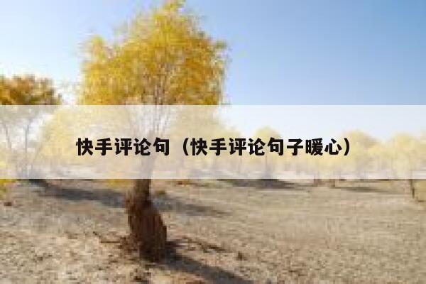 快手评论句（快手评论句子暖心） 第1张