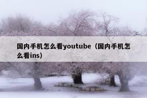 国内手机怎么看youtube（国内手机怎么看ins） 第1张