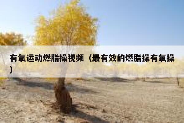 有氧运动燃脂操视频（最有效的燃脂操有氧操） 第1张